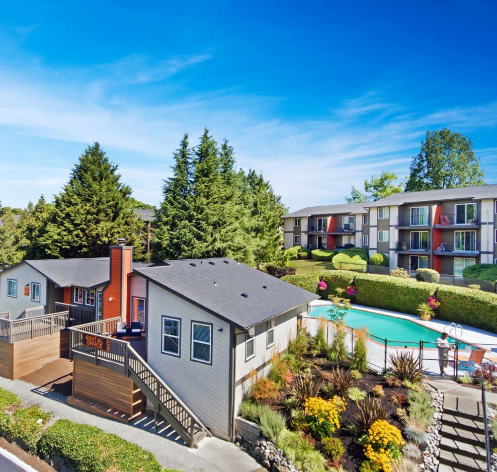 Overhead image of the pool among the trees on a sunny day at Haven Apartment Homes in Kent, Washington