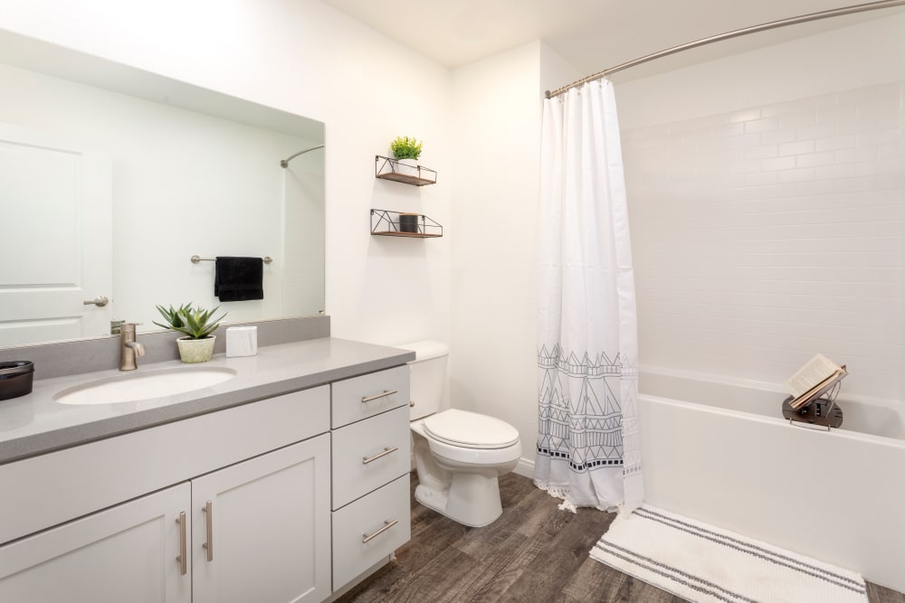 Apartment bathroom with a book reading stand in the bath tub at Azure Apartment Homes in Santa Maria, California