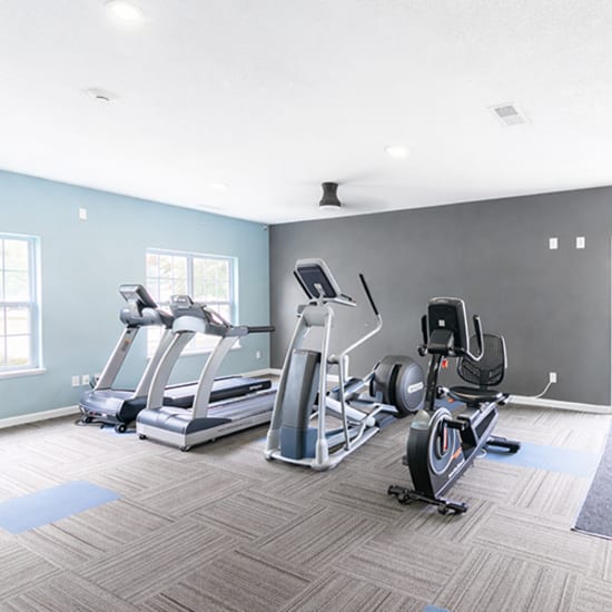 Bright fitness center with modern equipment and natural at Somerset Park Apartments in Bath, Michigan