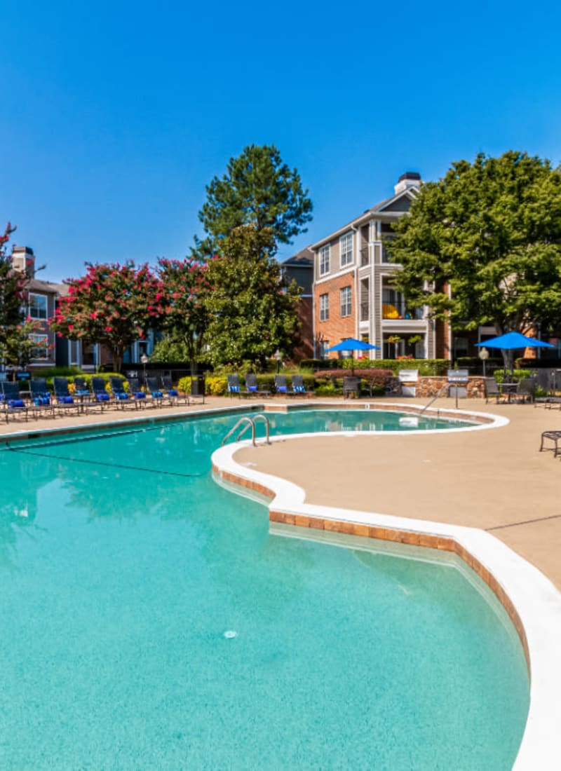 Sparkling pool surrounded by lounge chairs at Marquis of Carmel Valley in Charlotte, North Carolina