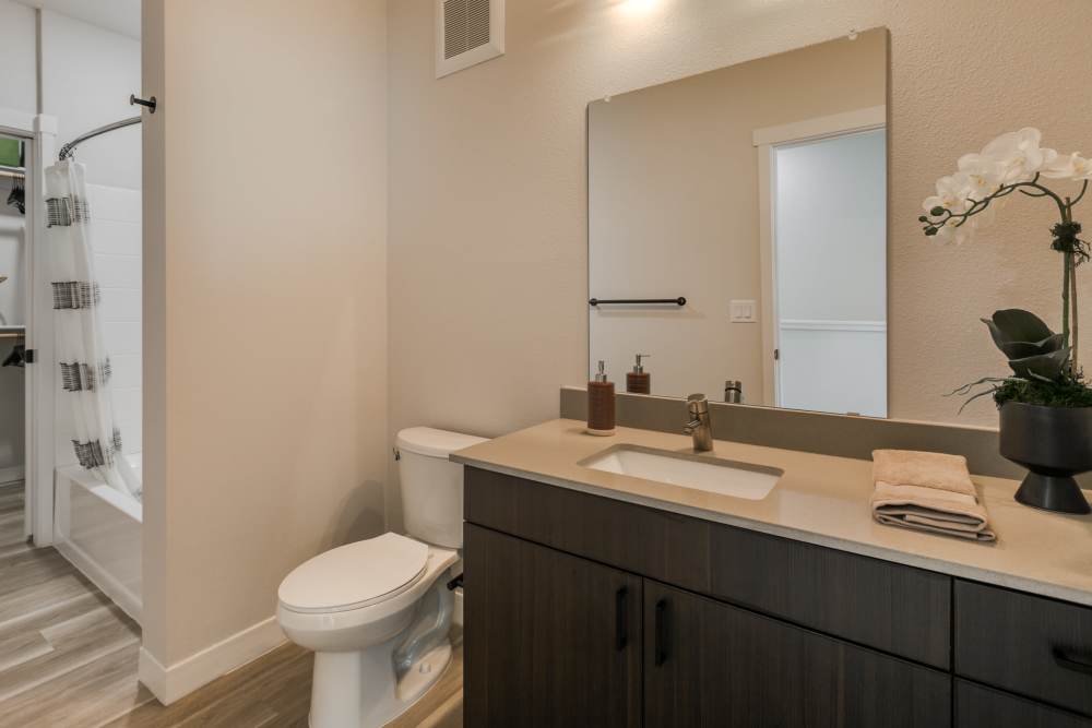 Washroom with bathtub attached at Olympus Latitude in Albuquerque, New Mexico