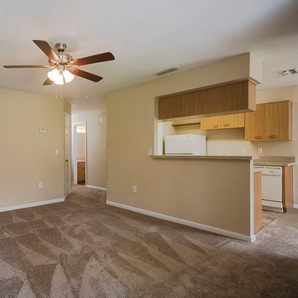 Charming bedroom with plush carpeting and a ceiling fan at Park Place Apartments in Port Richey, Florida.