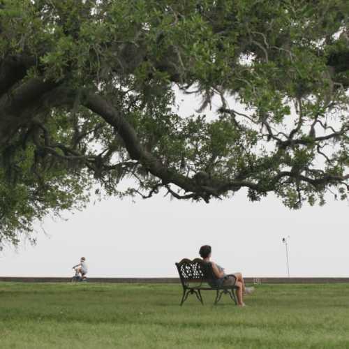 Person sitting on a bench under a tree at Botanica in Mandeville, Louisiana