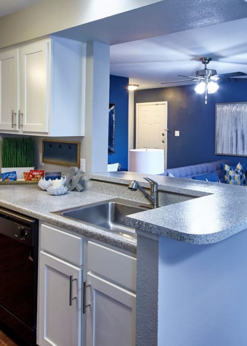 View floor plans at South Pointe in Dallas, Texas