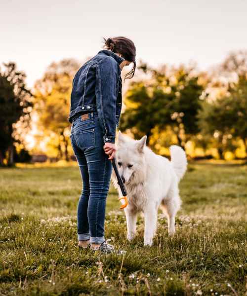 Resident spending time outdoors with their dog in a green community space at Granada Gardens Apartments in Warrensville Heights, Ohio