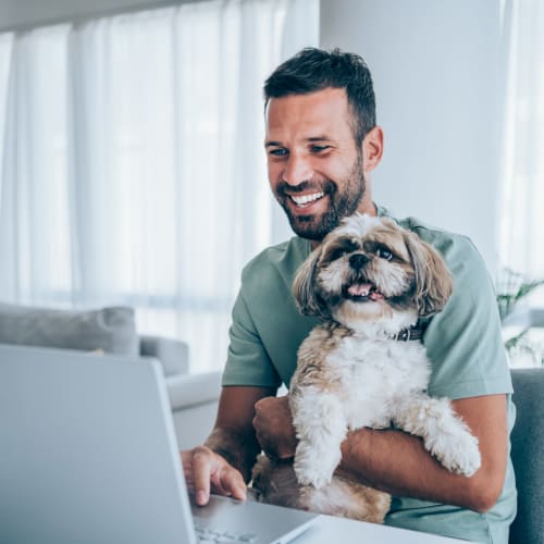 Resident working from home with some help from her puppy at Solaire 1150 Ripley in Silver Spring, Maryland