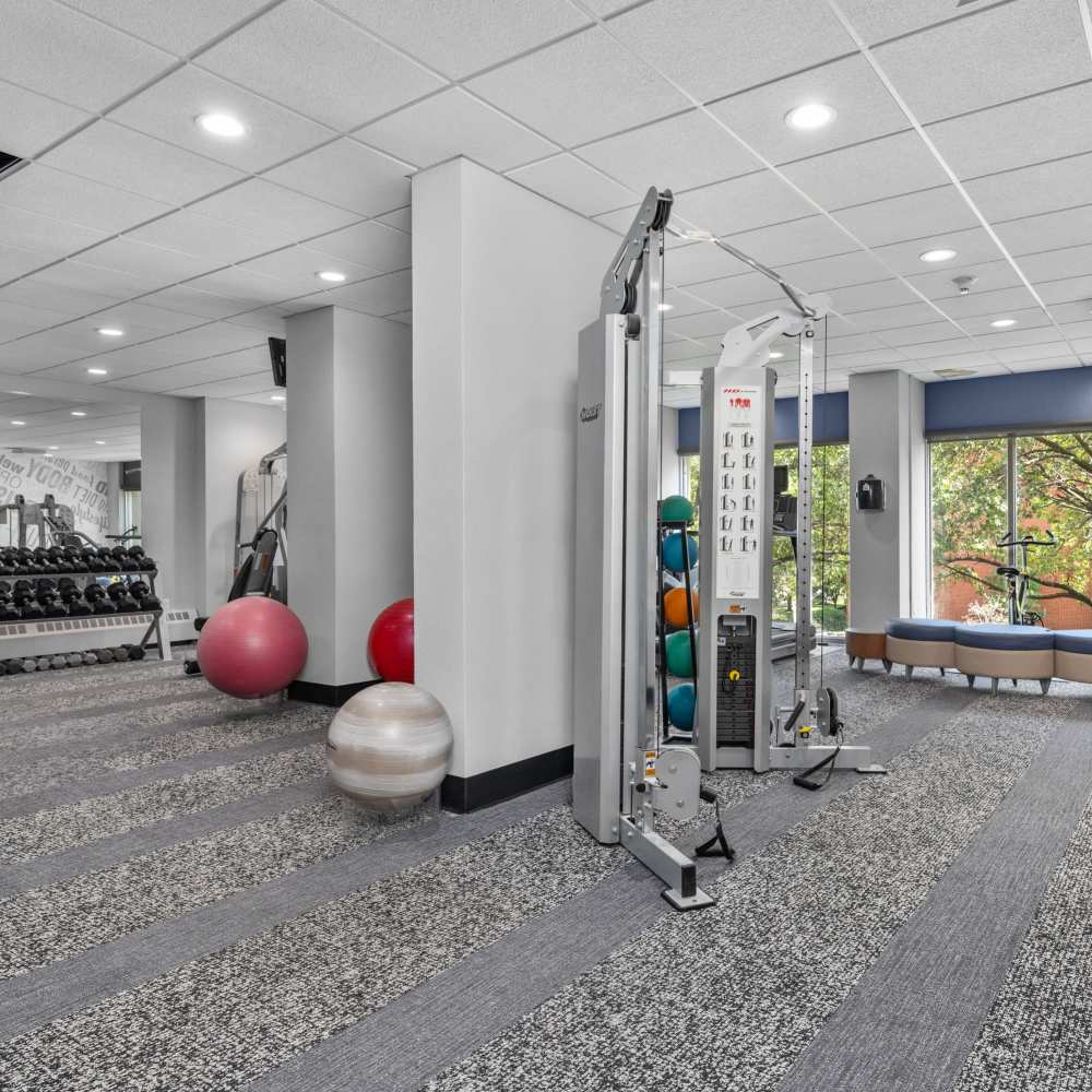 Modern fitness center featuring state-of-the-art equipment and inviting workout space bathed in natural light at The View at Forest Park in St. Louis, Missouri 