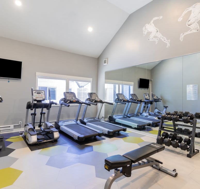 Fitness Center at Elan 41 Apartments in Seattle, Washington