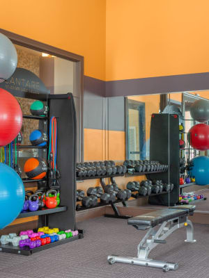 Fitness Center at Cantare at Indian Lake Village in Hendersonville, Tennessee