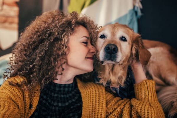 Dog with his owner at The Quarters at Towson Town Center in Towson, Maryland