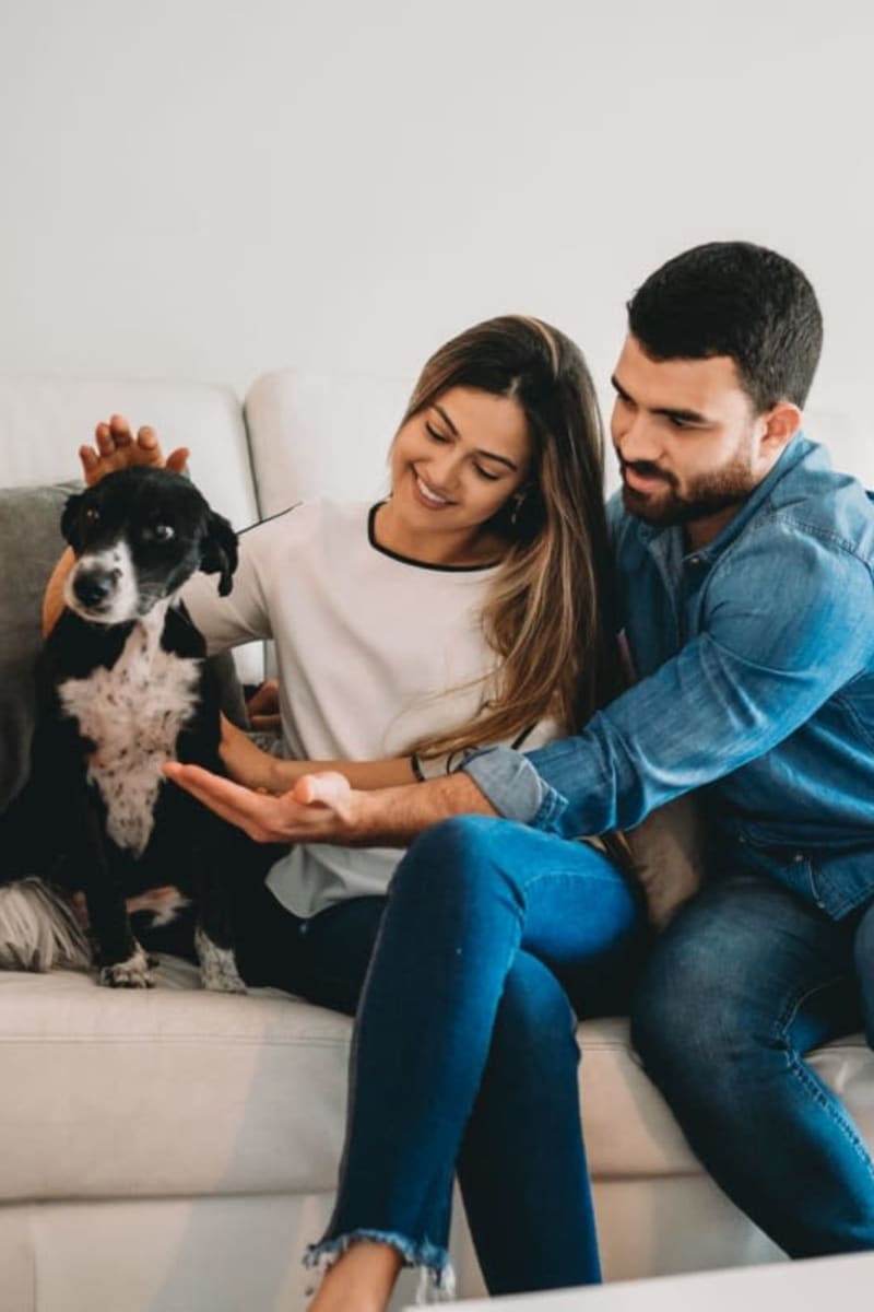 A couple with their dog at Optima Verdana® in Wilmette, Illinois