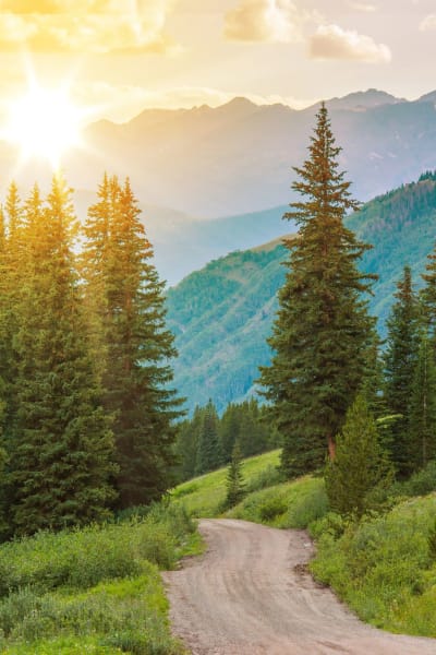 Beautiful forested area at dusk near Colorado Springs, Colorado