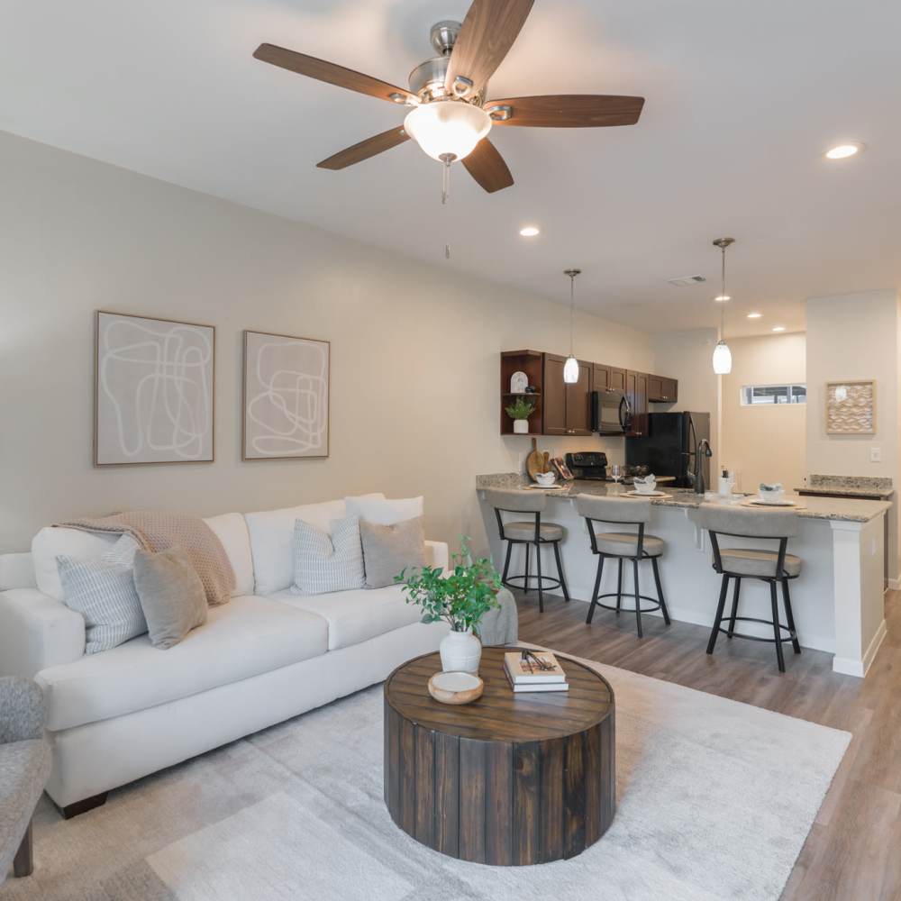 Well-designed modern apartment at Regency Gardens in Bryan, Texas