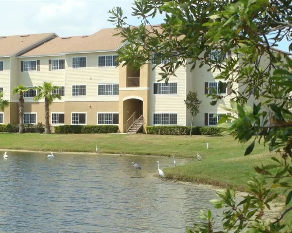 Apartments right on the water at  Mission Bay in Rockledge, Florida