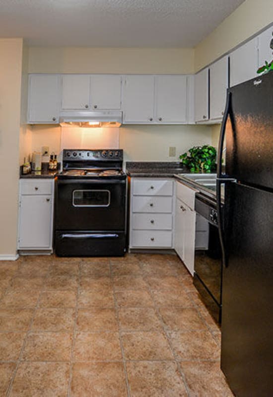 Lots of kitchen counter space at Legacy on Lynnfield in Memphis, Tennessee