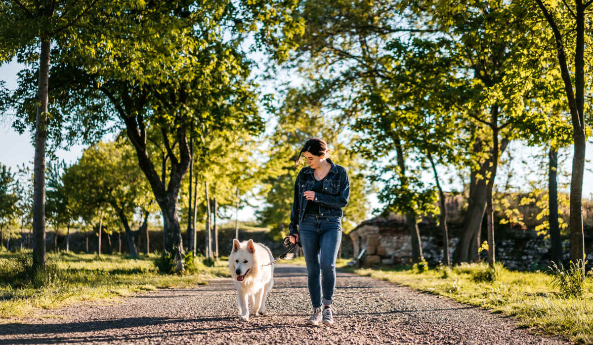 Resident playing with his pet at The Village in Stratford, Connecticut
