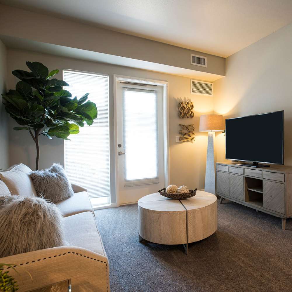 Spacious living room with indoor tree at Citrine Apartments in Healdsburg, California