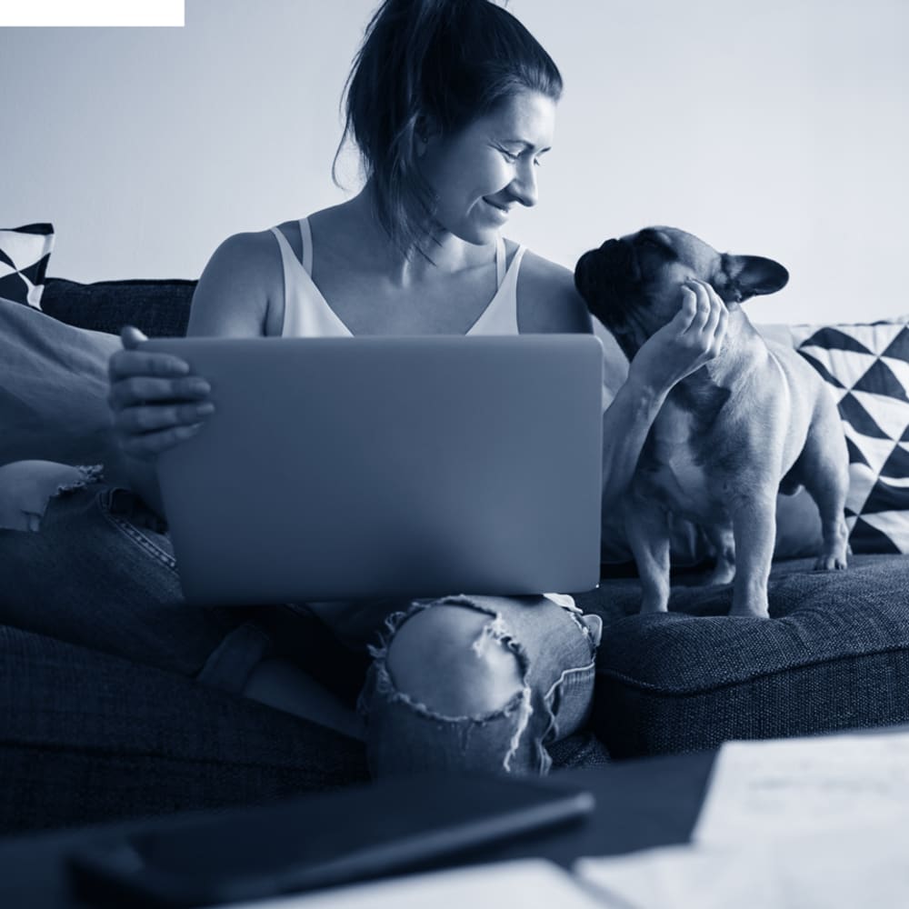 Resident studying with some help from her French bulldog at Briarwood Apartments & Townhomes in State College, Pennsylvania