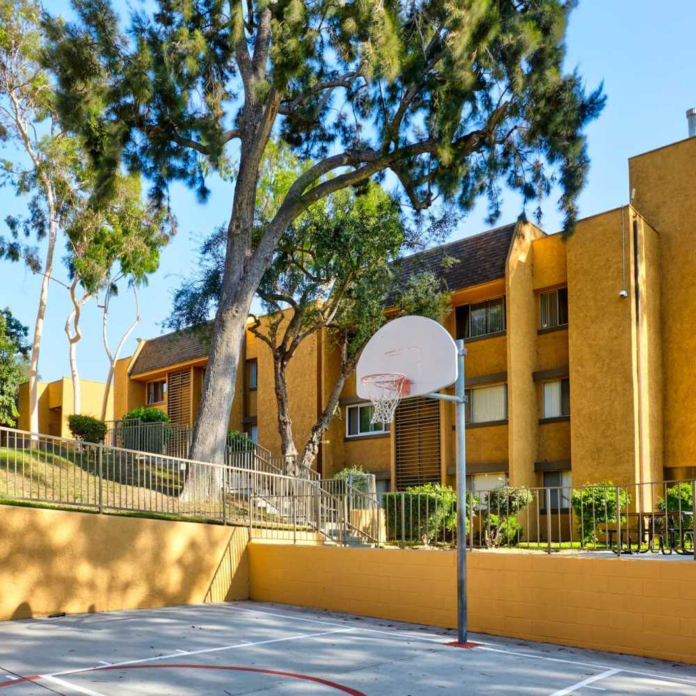 Basket ball hoop at St. Andrews Gardens in Los Angeles, California