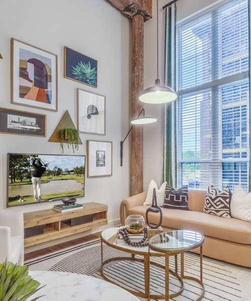 Modern and Cozy Living Room in Belmont, North Carolina