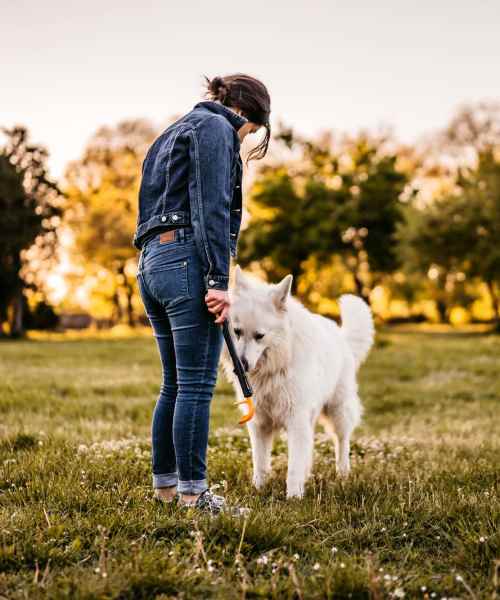 Resident spending time outdoors with their dog in a green community space at Granada Gardens Apartments in Warrensville Heights, Ohio