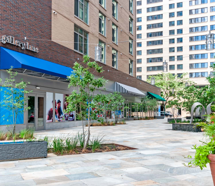 Gallery Lane with anchor restaurant at Gallery Bethesda II in Bethesda, MD