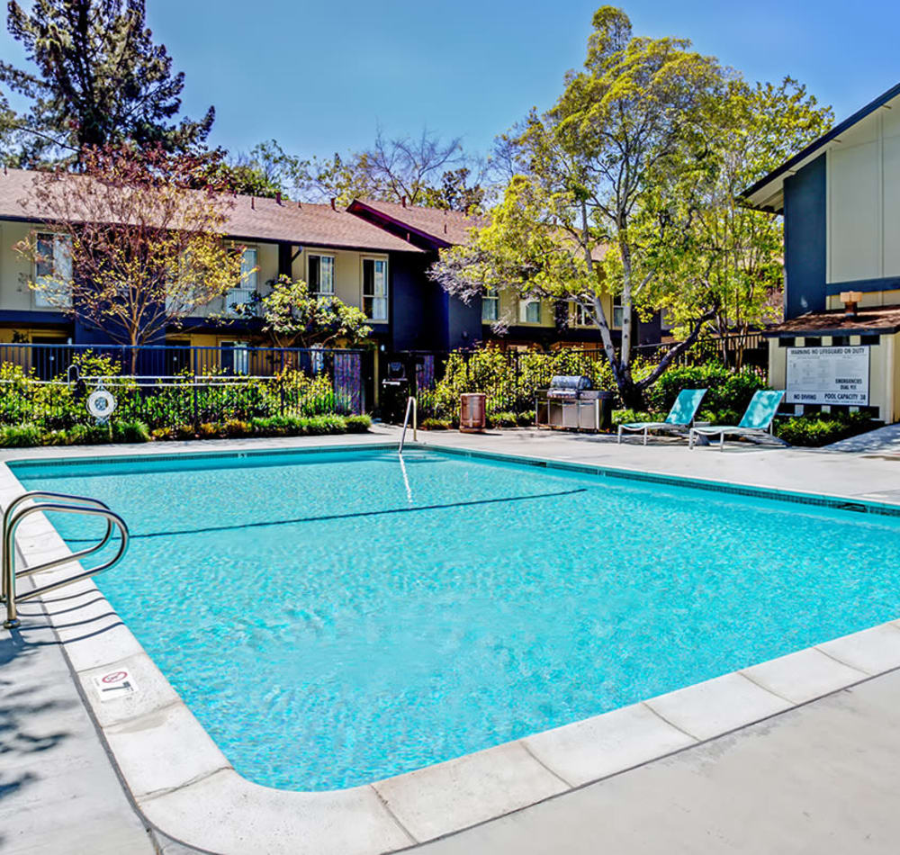 Sparkling pool at Montecito Apartments in Santa Clara, California