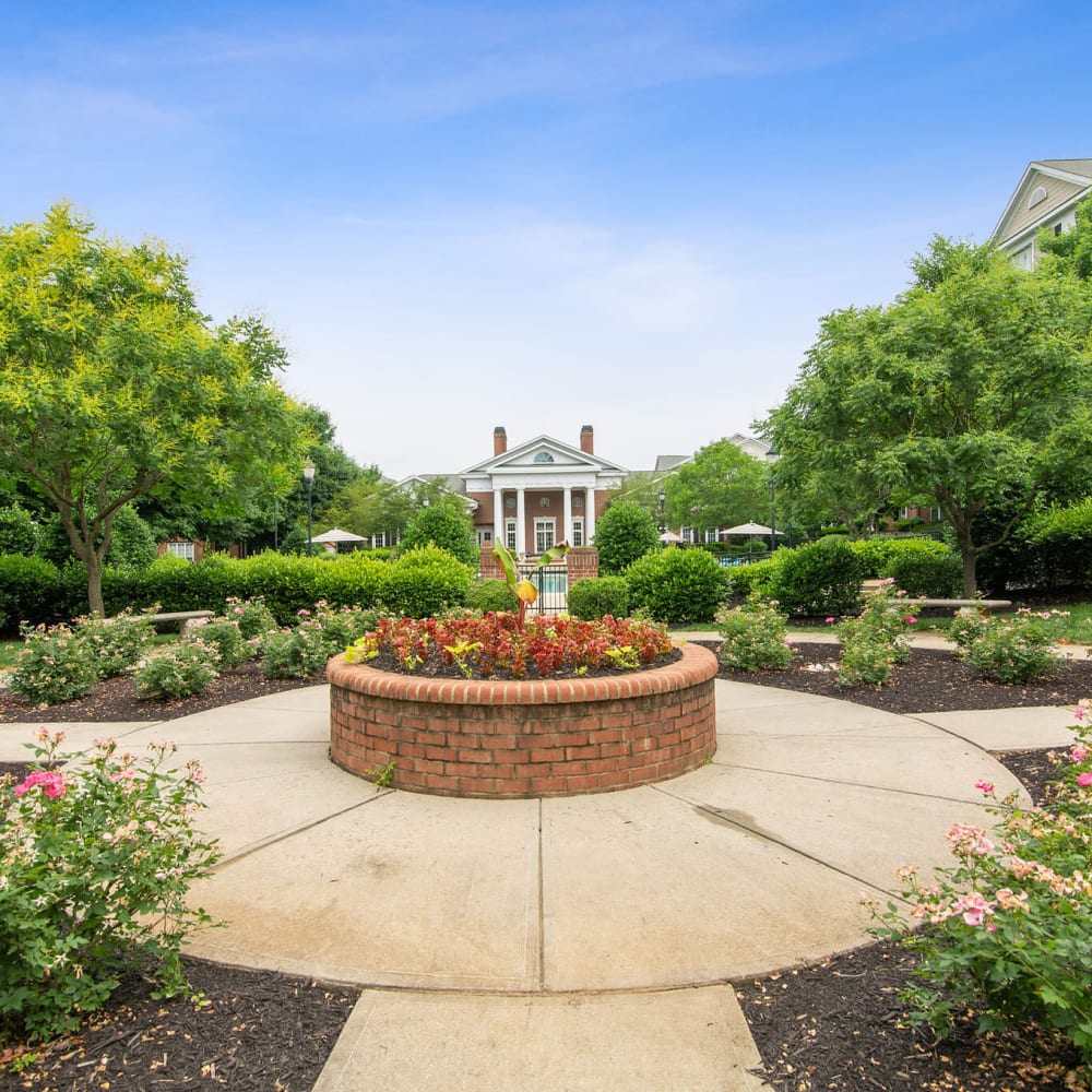 Stunning garden view at Avemore Apartment Homes, Charlottesville, Virginia