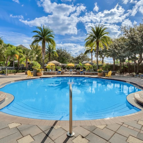 Palm trees by the swimming pool at Grandewood Pointe in Orlando, Florida