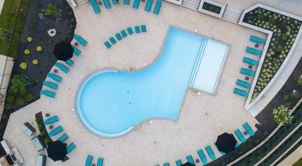 Stunning resort-style pool at Beacon on 5th in Charlottesville, Virginia