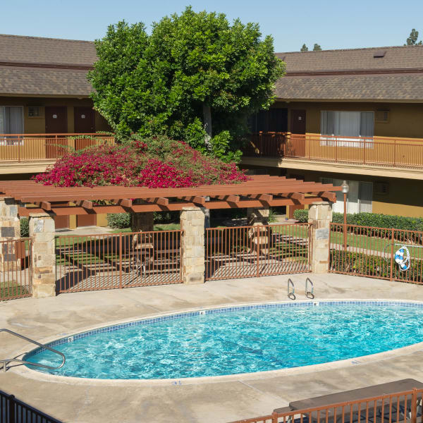 Pet friendly apartments in Tustin, California