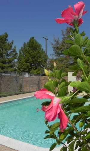 Sparkling swimming pool at Highlands of Grand Prairie in Grand Prairie, Texas