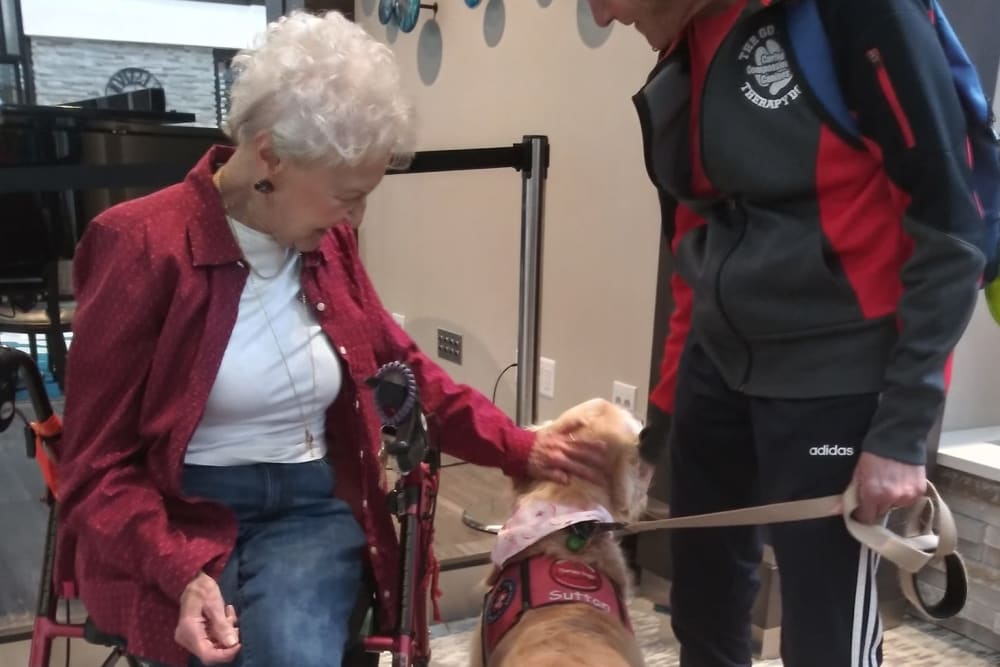 Lady petting a leader dog at Blossom Ridge in Oakland Charter Township, Michigan