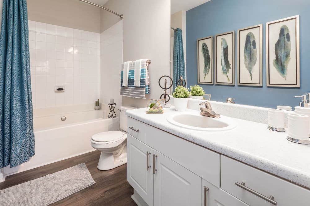 Lovely bathroom with blue accent wall and shower curtains at Highlands at Alexander Pointe in Charlotte, North Carolina