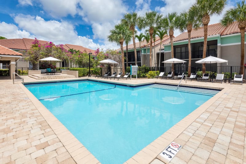 Resort-style swimming pool flanked by chaise lounge chairs and lush vegetation at The EnV in Hollywood, Florida