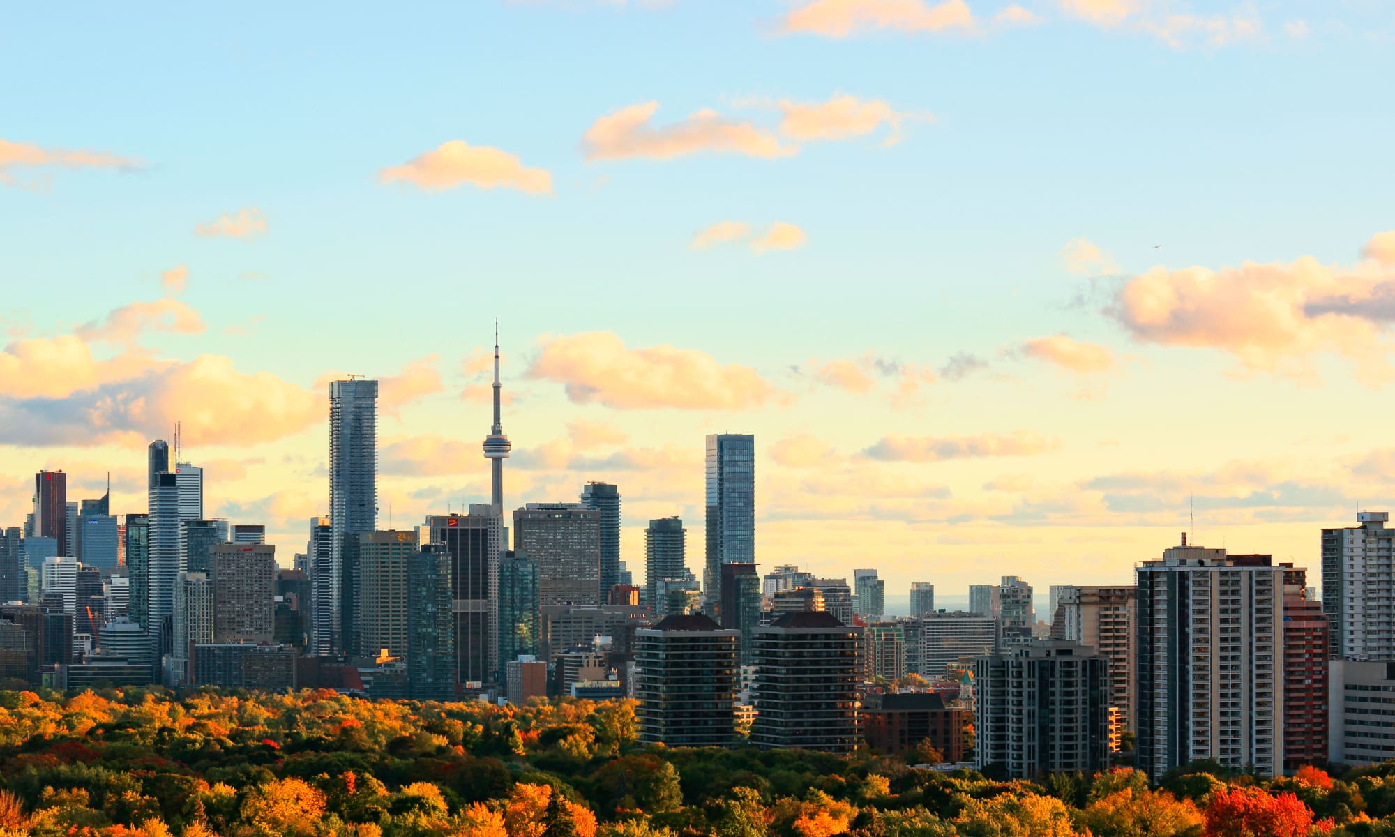 City view of North York in Ontario