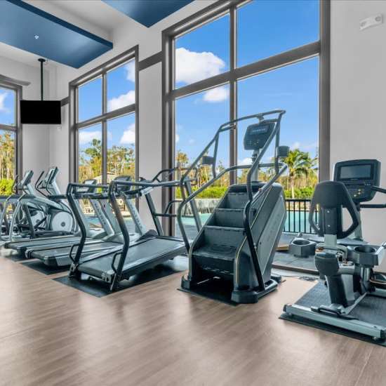 Luxury fitness center with large windows at 81 West Apartments in Fort Myers, Florida