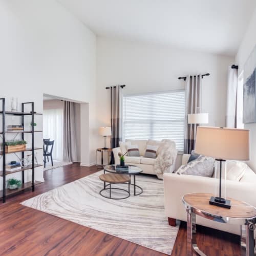 Apartment living room at The Manors at Brookmere in Matteson, Illinois
