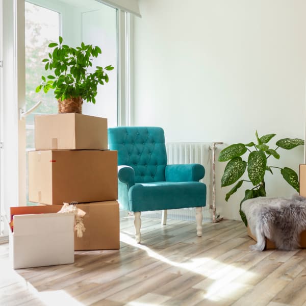 Stacked boxes, and plants and furniture in a living room near Our Self Storage.