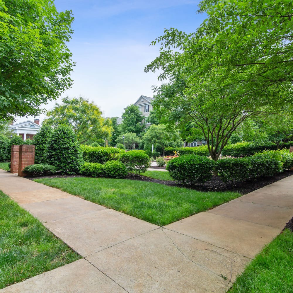 Lush Grounds at Avemore Apartment Homes, Charlottesville, Virginia