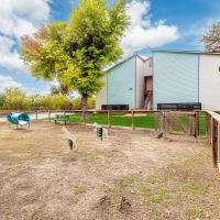 On-side dog park at Vivid in San Antonio, Texas