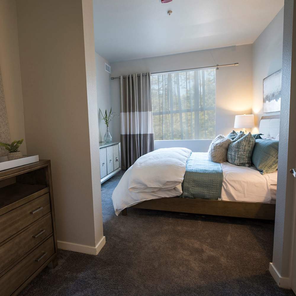 Bedroom with ambient lighting at Citrine Apartments in Healdsburg, California