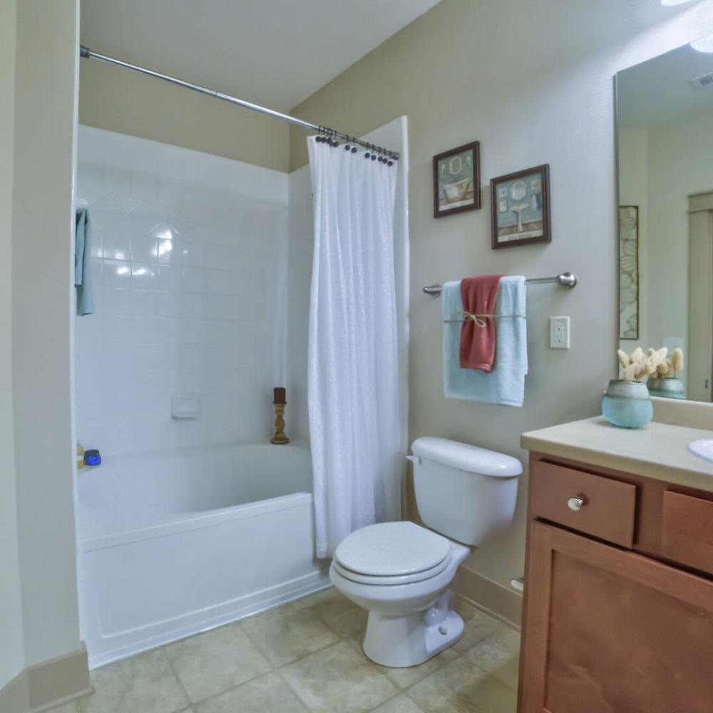 Bathroom at Avonlea Tributary in Lithia Springs, Georgia