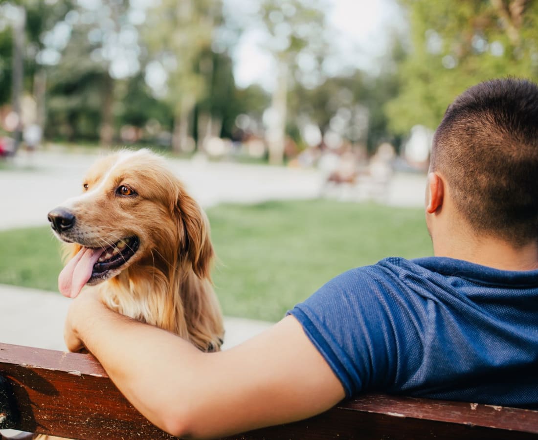 A resident and dog sitting on a bench at a park near Forest Edge Townhomes in Raleigh, North Carolina