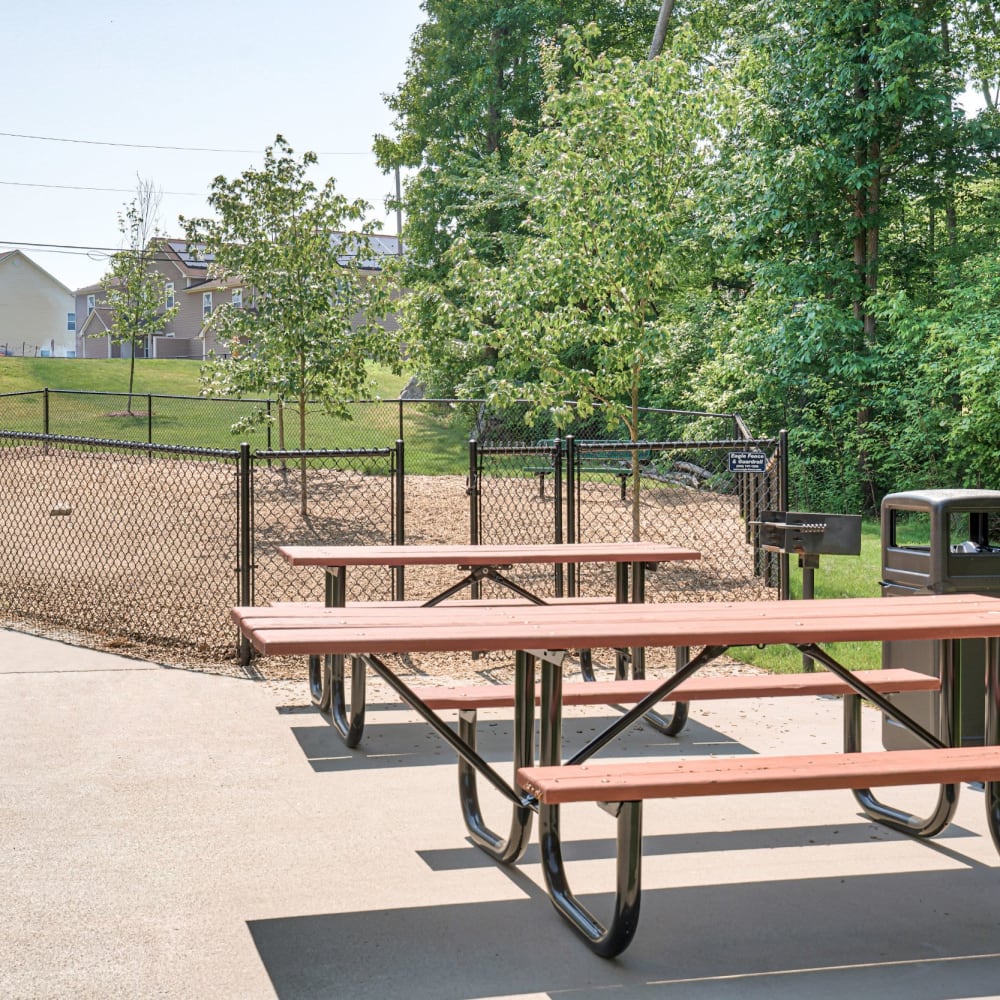 Dog park at Pleasant Valley Apartments, Groton, Connecticut