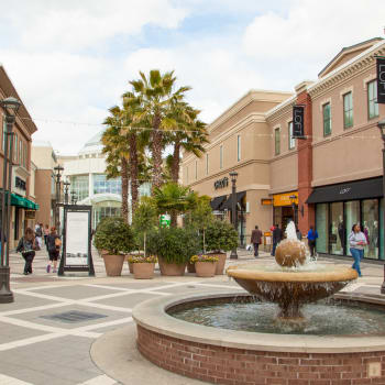 Landmarks and entertainment in Baton Rouge, Louisiana near The High Grove