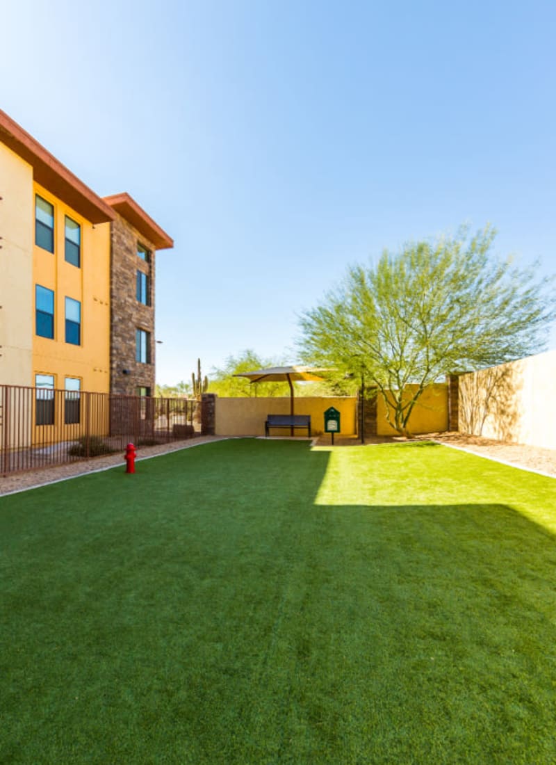 Two pets maximum per apartment at Marquis at Desert Ridge in Phoenix, Arizona