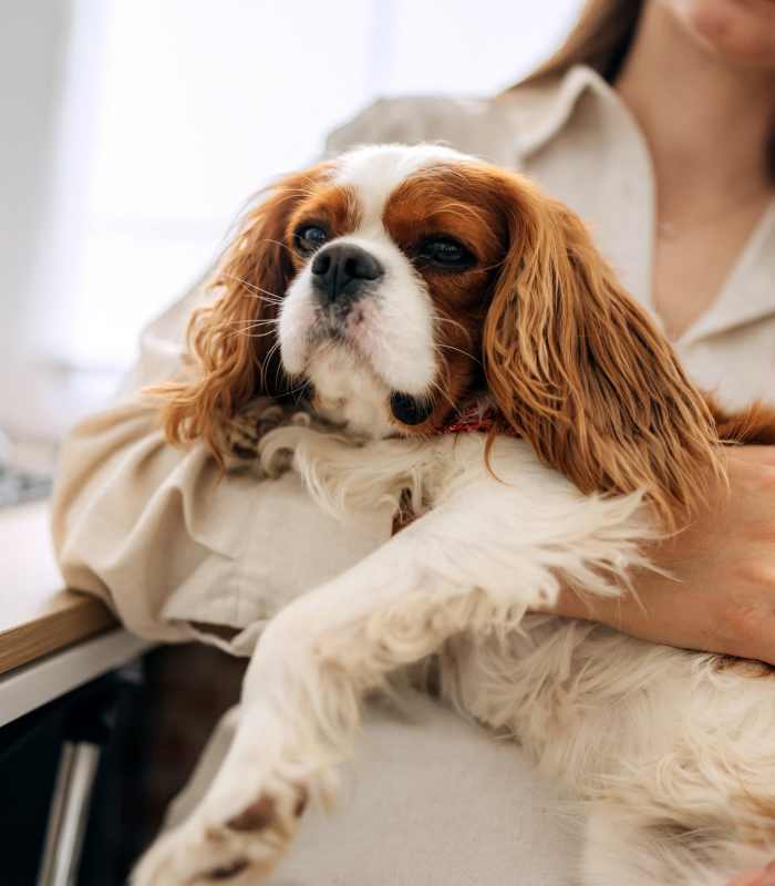 A resident holding a dog at Parkwood Oaks in Bedford, Texas