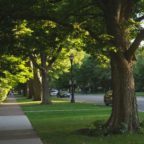 Tree-lined street with sidewalk near Beaumont Greene Senior Living in Athens, Ohio