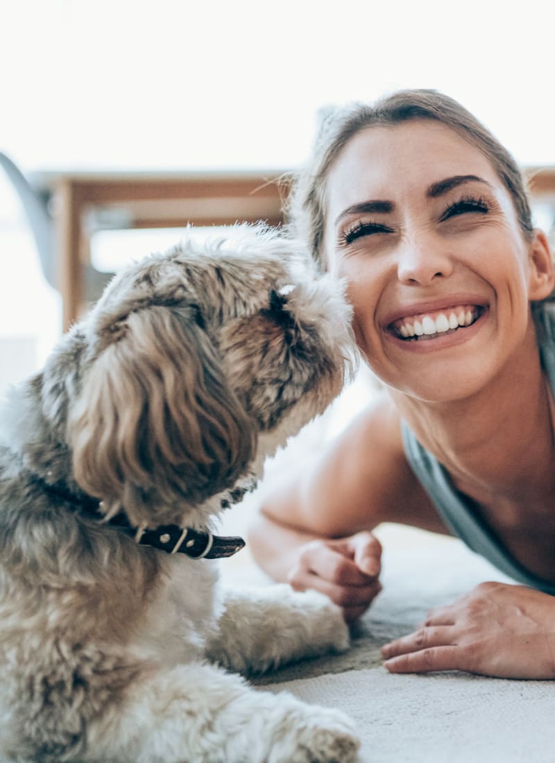 Pet fees at Marquis at Ladera Vista in Austin, Texas